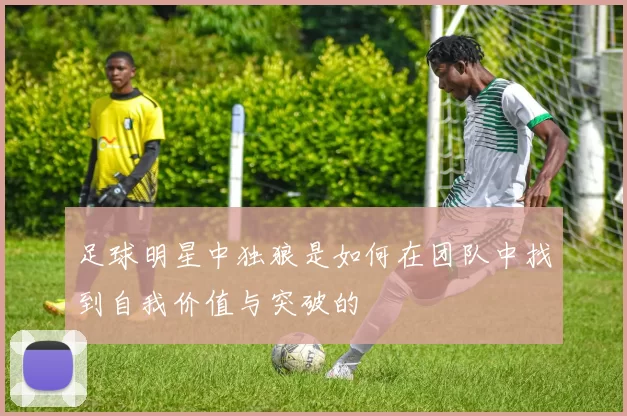 足球明星中独狼是如何在团队中找到自我价值与突破的