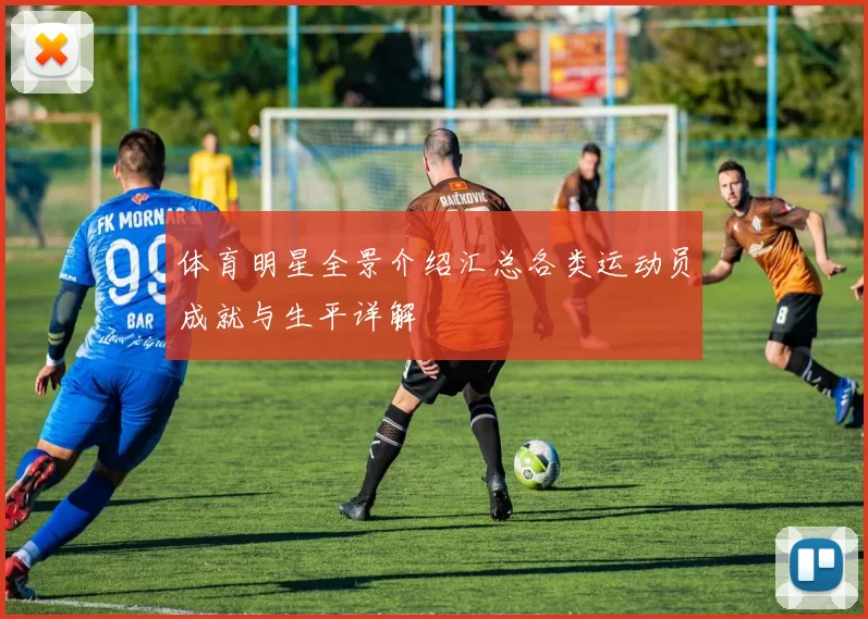 体育明星全景介绍汇总各类运动员成就与生平详解