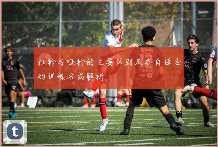 杠铃与哑铃的主要区别及各自适合的训练方式解析